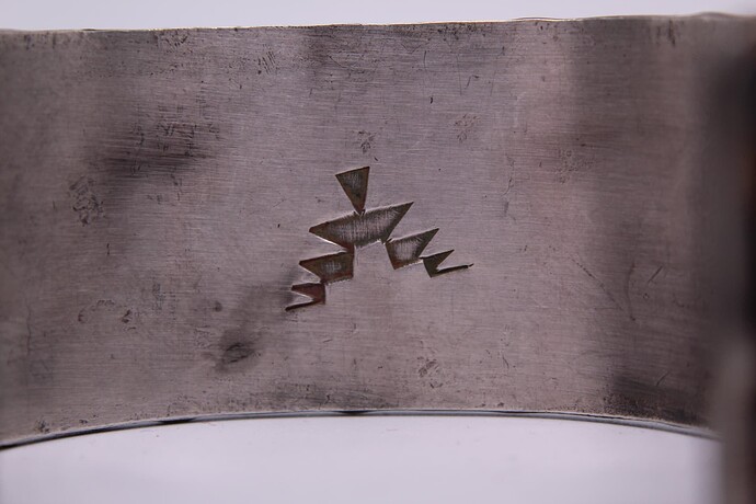 IMG_4114 (2021_01_26 20_58_57 UTC)