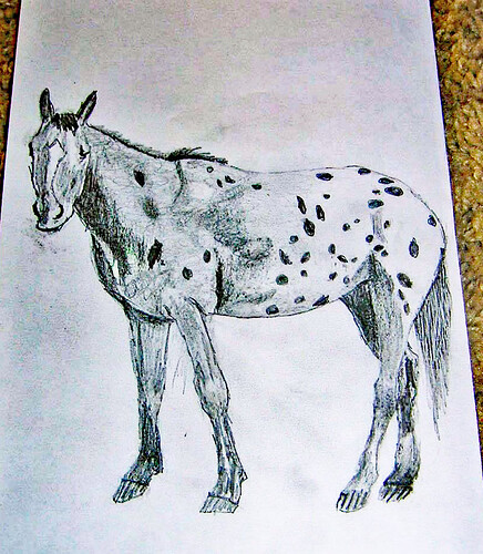 Satin Drawing