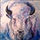 WhiteBuffalo